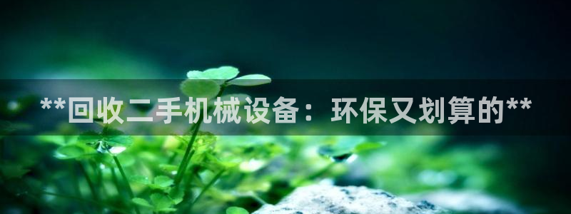 九游会的网址是多少