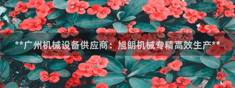 九游会是什么组织
