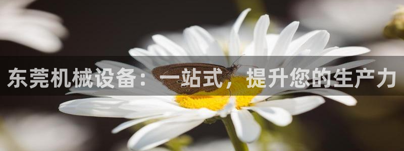 九游会平台ag