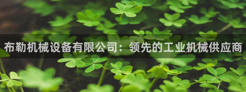 九游会官网首页进入吗
