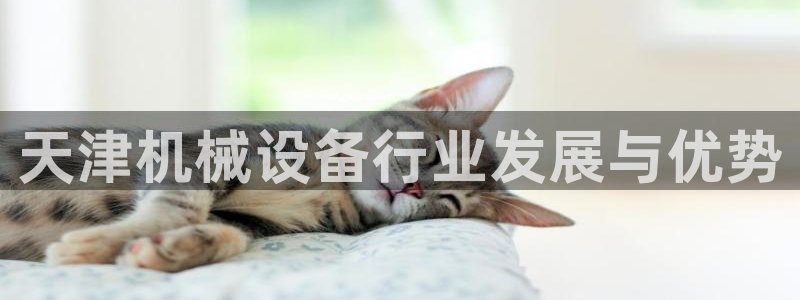 九游会是ag吗