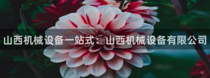 九游会线上平台吗