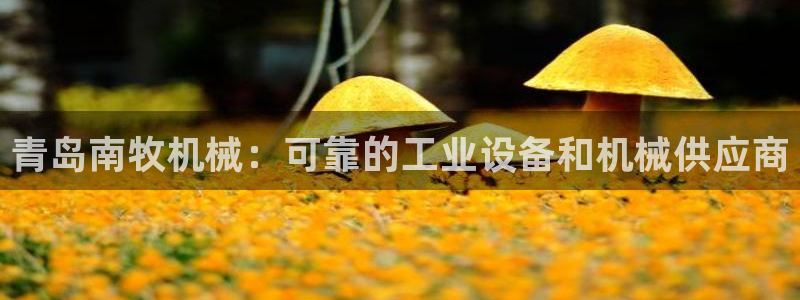 九游会老哥俱乐部官网首页论坛