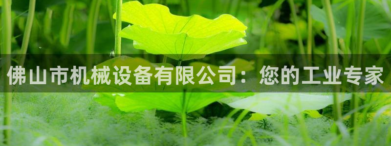ag九游最新
