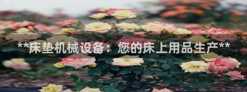 九游会游戏平台有哪些