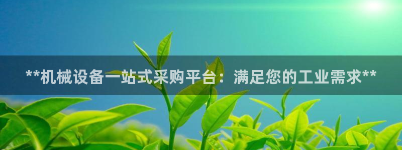 九游会国际站