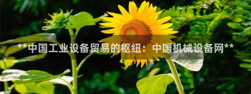 九游j9官网入口