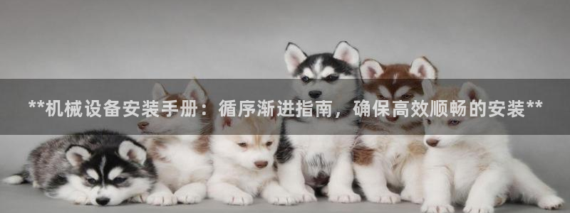 九游j9官方旗舰店