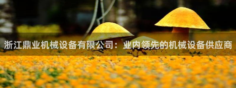 九游会官网真人认证吗