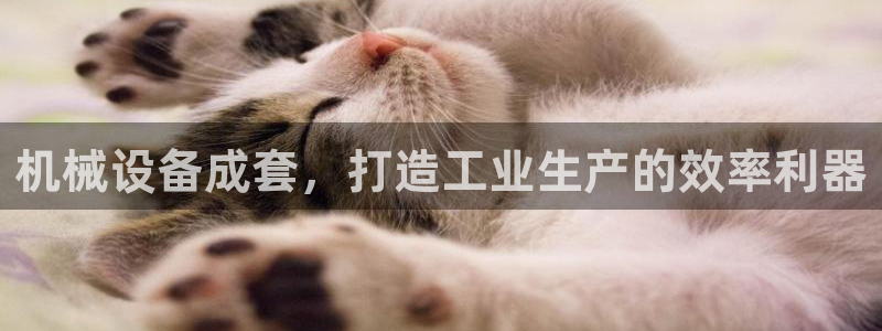 九游会吧