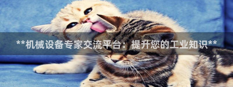 九游会网站登录