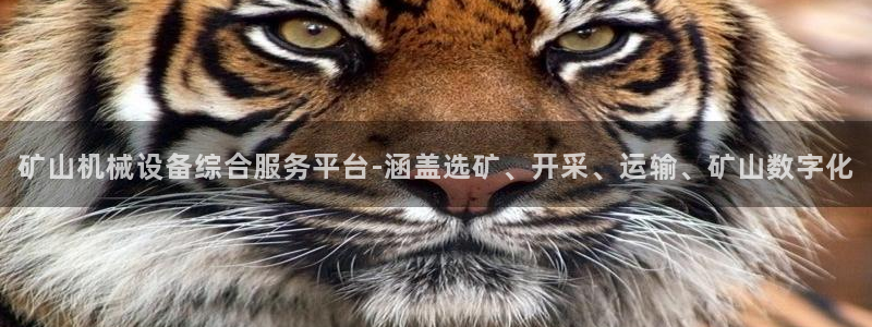 九游会登不上