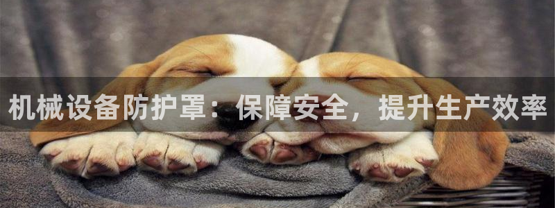 ag九游会客户端