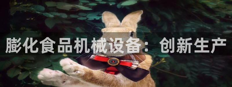 九游会官方在线