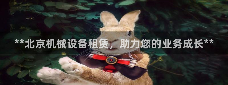 九游会app下载版官网正版