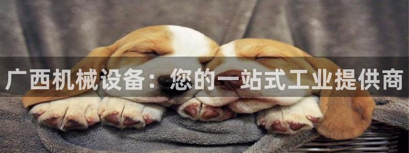 九游会账号登录网址