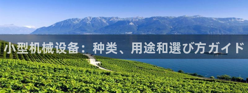 九游会网址多少