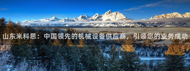 九游会官网网页版