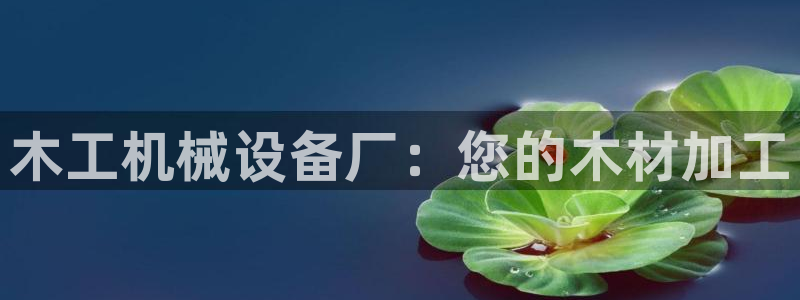 九游会可以提现吗