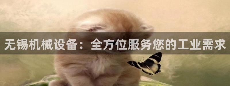 九游会是什么组织