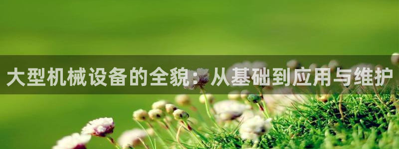 九游会是ag吗