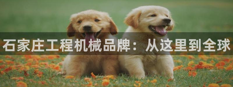 九游会游戏平台