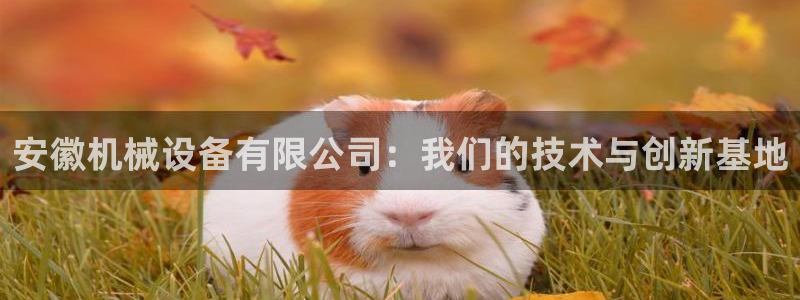 九游会j9国际站 - j9游会官方网页版