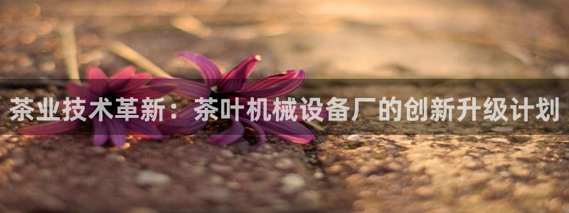 ag变成九游会