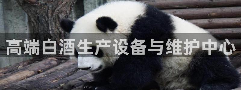 九游会官网贴吧