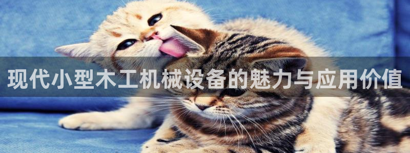 九游会平台网站