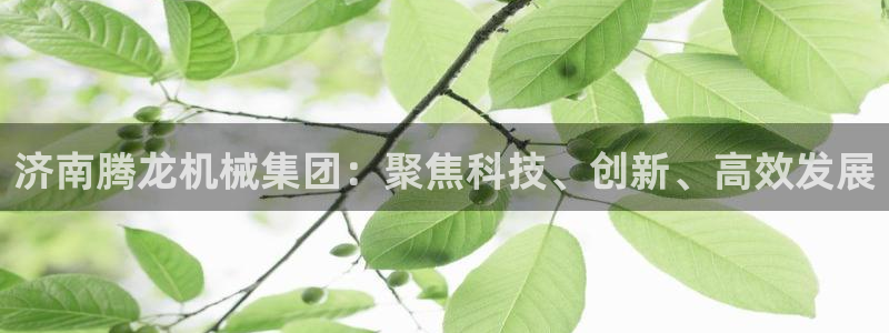 九游会官网app下载