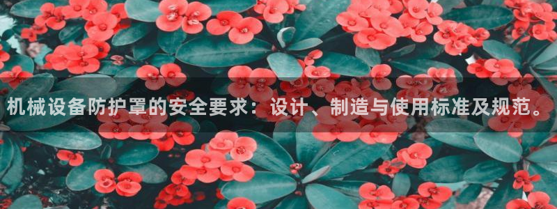 j9九游会首页登录新