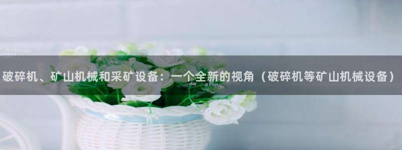 九游会ag官方平台