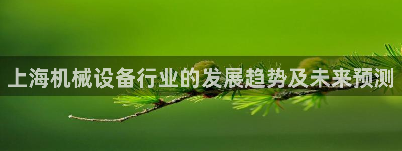 九游会网址入口：上海