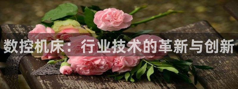 九游会app下载版官网正版安卓