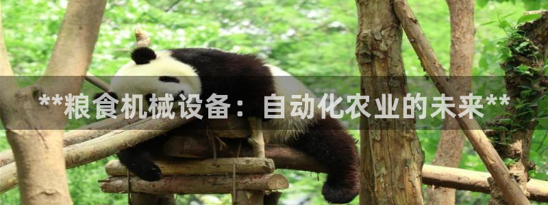 九游会网址入口