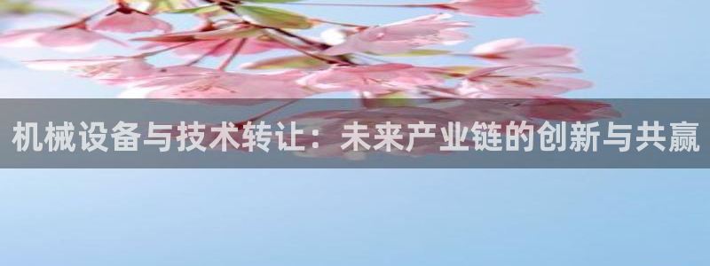 九游会上不去了