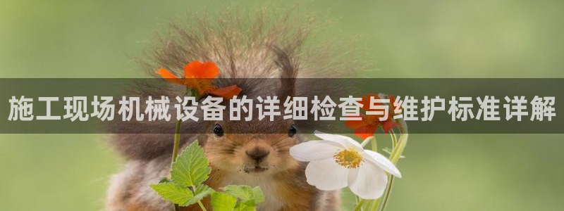 九游会倒闭：施工现场