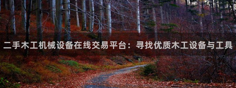 九游会ag官方网站在哪