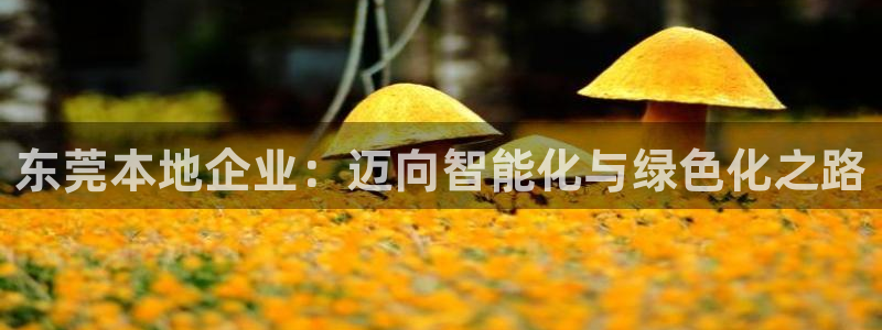 九游会平台王一博泰国