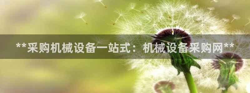 j9九游会老哥俱乐部成员